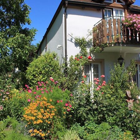 Hotel Zur Krone Auggen Esterno foto